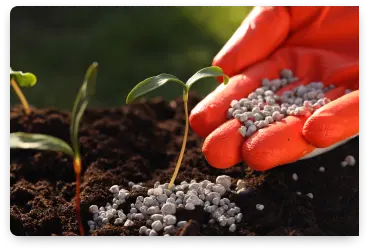 abonos y fertilizantes