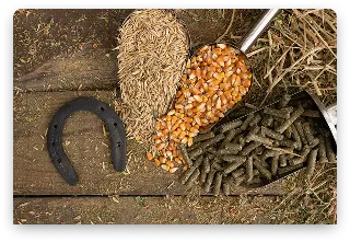 shovel-spoons-with-horse-food-ingredients